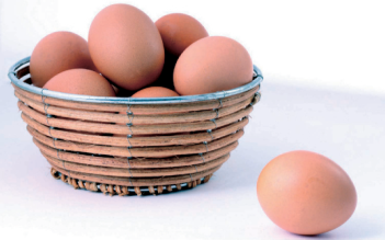 鲜蛋及制品检测
